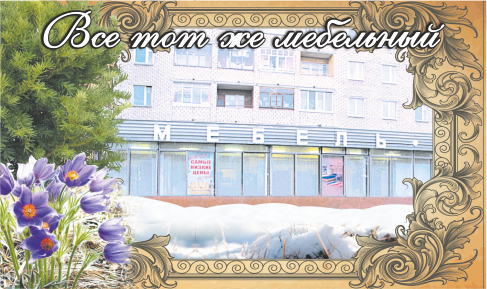 Магазин "Мебель ООО"