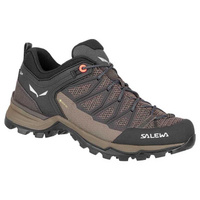 Походная обувь Salewa MTN Trainer Lite Goretex, коричневый
