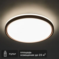 Настенно-потолочный светильник светодиодный Lumion Navil 3044/EL регулируемый белый свет цвет коричневый LUMION None