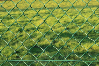 Забор Зеленый Сетка Фото