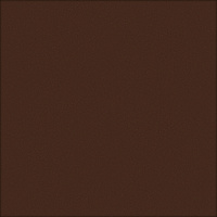 Клинкерная плитка Керамин Амстердам 4 коричневая 298х298х8 мм (15 шт.=1,33 кв.м)