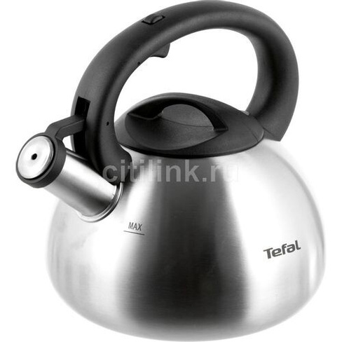 Металлический чайник Tefal C7921024, 2.5л, серебристый [2100093085]