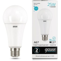 Упаковка ламп LED GAUSS E27, груша, 25Вт, 10 шт. [73225]