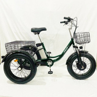 Электровелосипед (велосипед с электрическим двигателем) трехколесный фэтбайк для взрослых, всесезонный, тип "Зима-Лето",