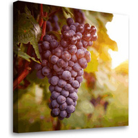 Постер Студия фотообоев Гроздь винограда