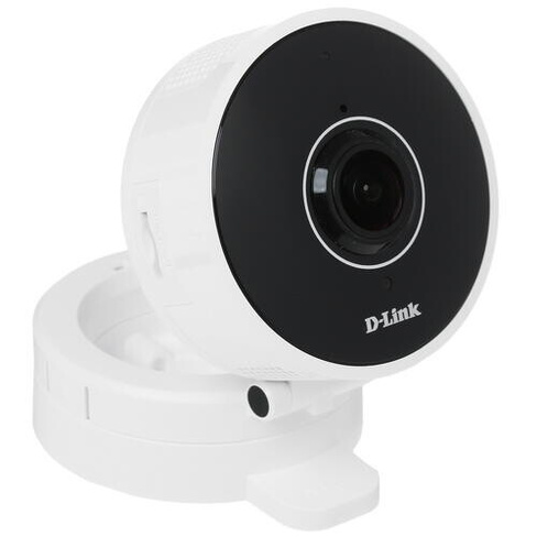 IP камера D-Link DCS-8100LH